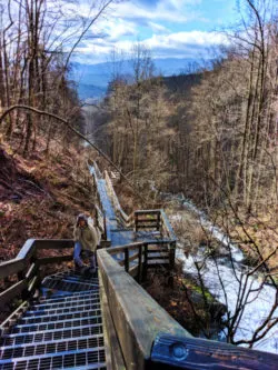 Winter at Amicalola Falls State Park Georgia 3