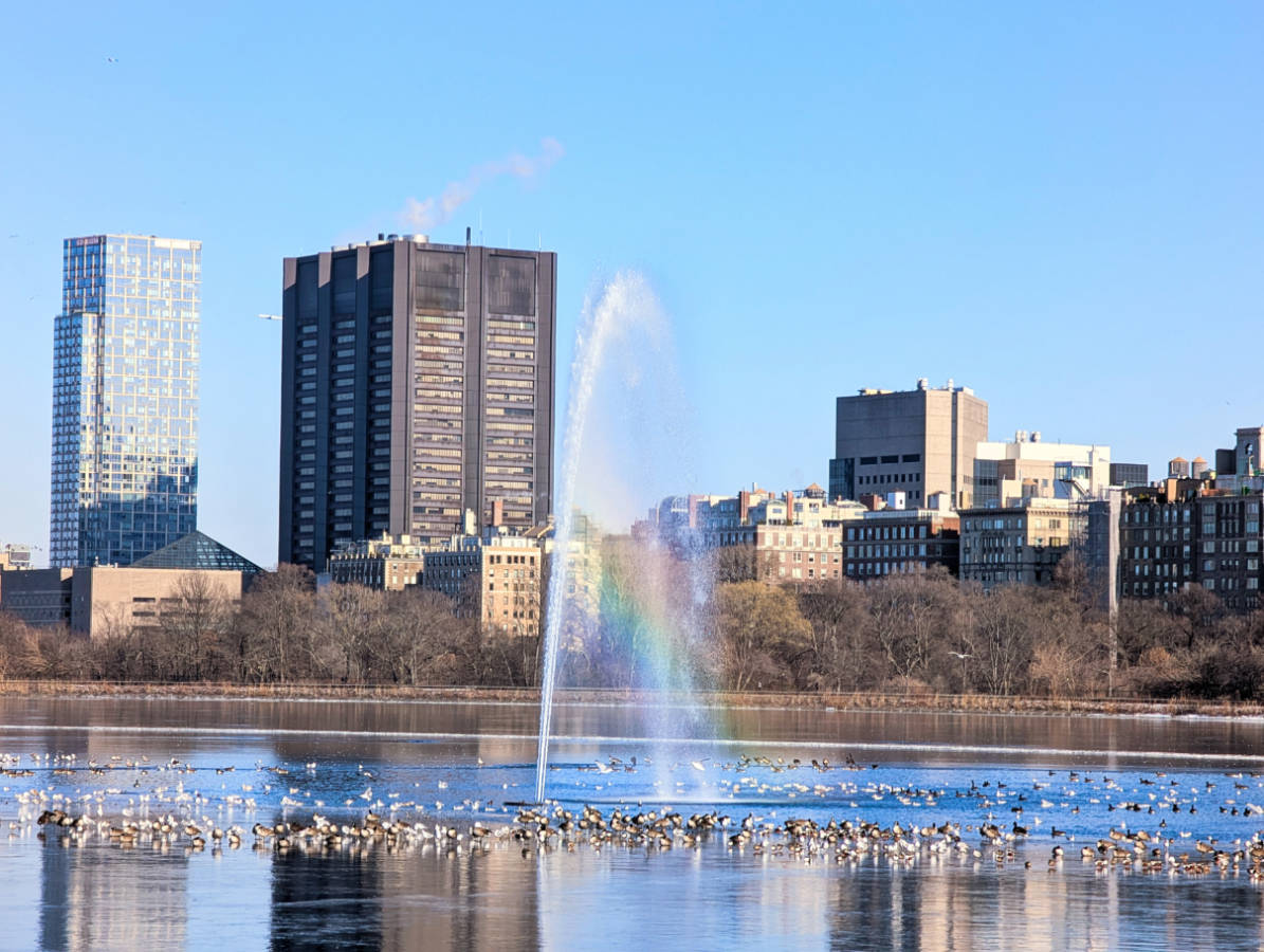 Winter at Jackie Onassis Reservoir in Central Park New York City 1