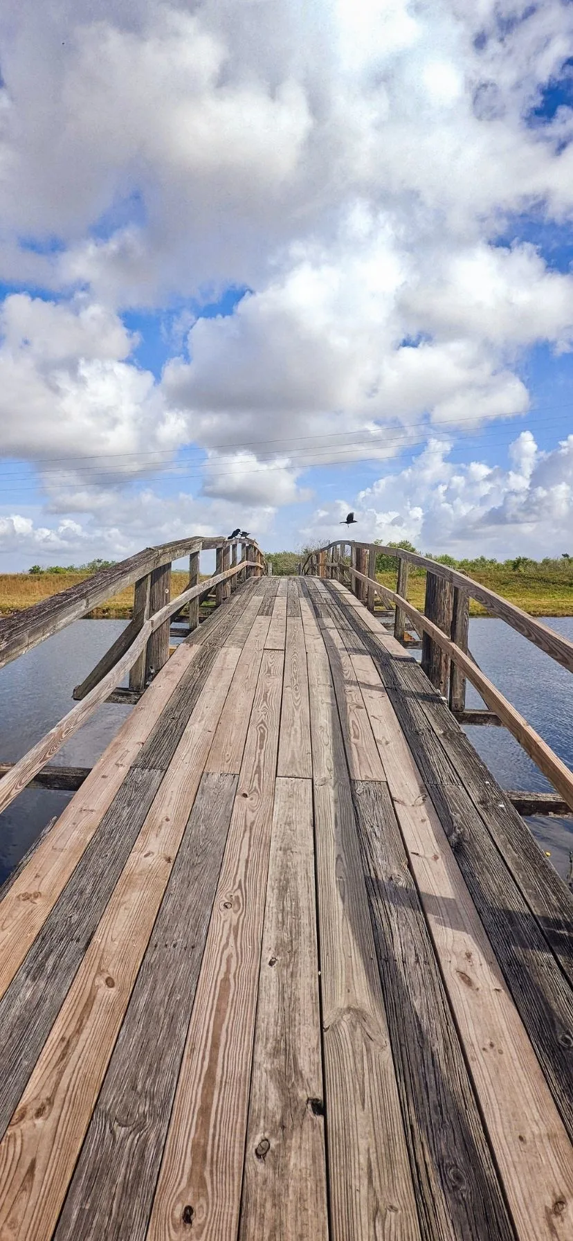 Wooden Bridge in Everglades National Park Florida