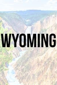 Wyoming Button