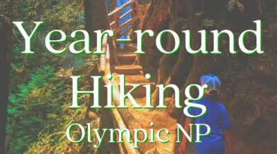 These are the best year round hikes in Olympic National Park that you can do in any weather! Beach and rainforest hiking, views and quiet forests. #hiking #washington #olympicnationalpark #outdoors