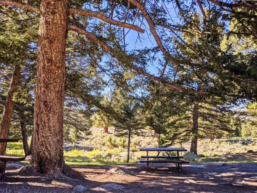 Yellowstone River Picnic Area Yellowstone National Park Wyoming 1