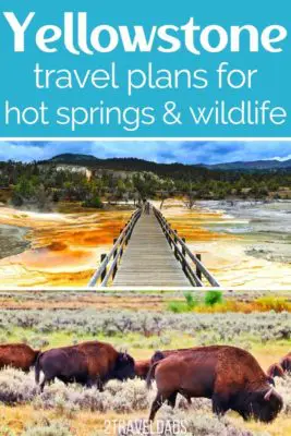 Two days' worth of travel plans for exploring the best of Yellowstone National Park.  In this episode we cover two days of traveling through Yellowstone. These two road trip routes go through the northwest corner of the park, stopping at Mammoth Hot Springs, Tower Falls, the Lamar Valley, and our best wildlife viewing tips.