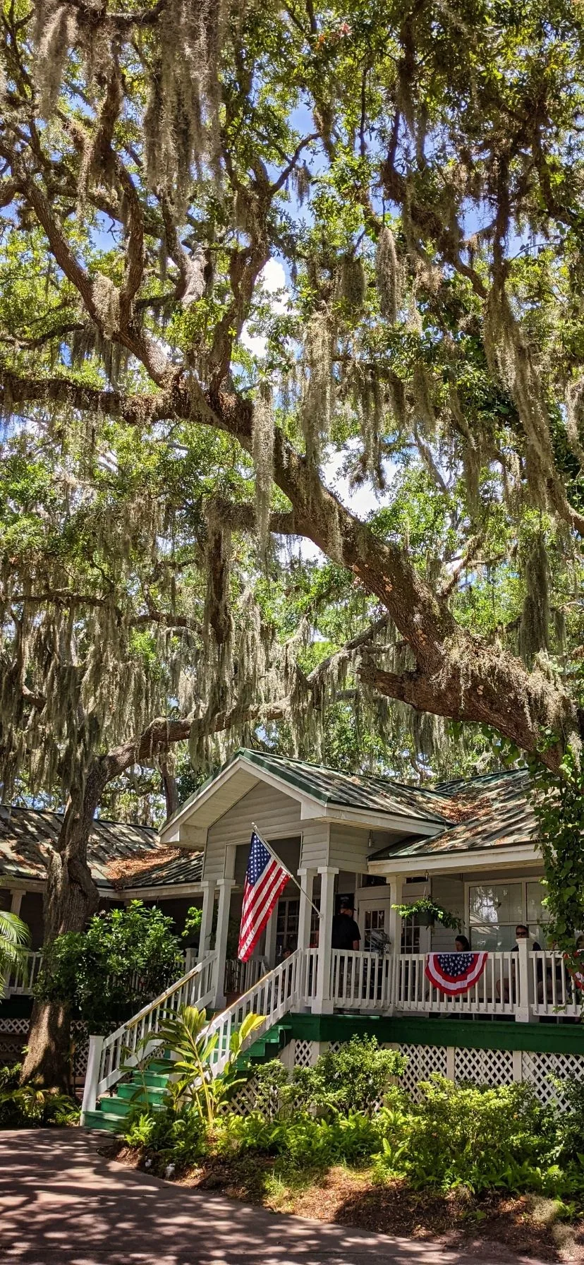 Zacharys Riverhouse with Live Oaks Jekyll Island Georgia