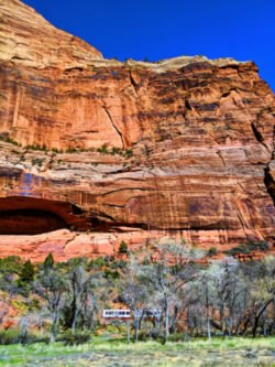 Zion Shuttle by Red Rock walls at Big Bend of Zion Canyon Zion National Park Utah 1