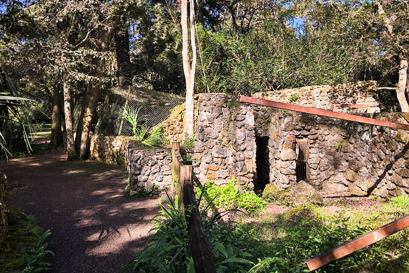 Zoo Ruins at Rainbow Springs State Park Dunnellon Florida 2b