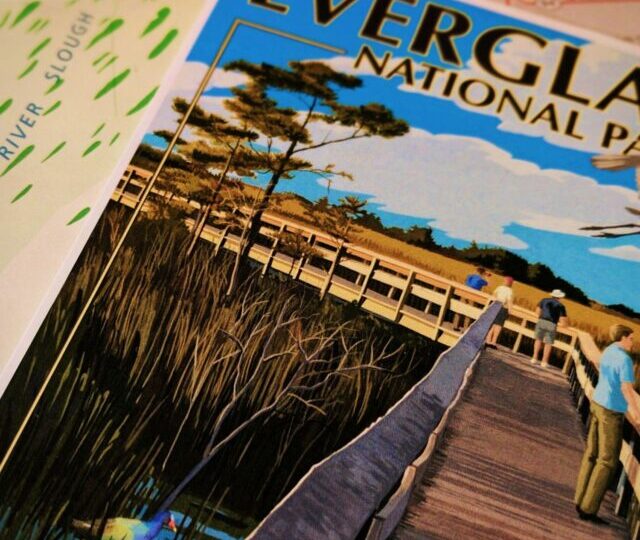 cropped-Everglades-National-Park-Web-Story-Cover.jpg