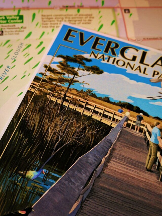5 Ways to Enjoy Everglades National Park