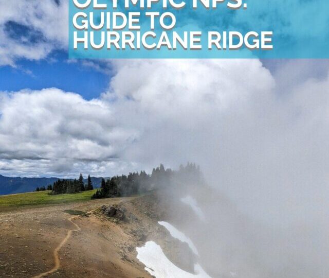 cropped-Guide-to-Hurricane-Ridge-Olympic-NPS-Web-Story.jpg