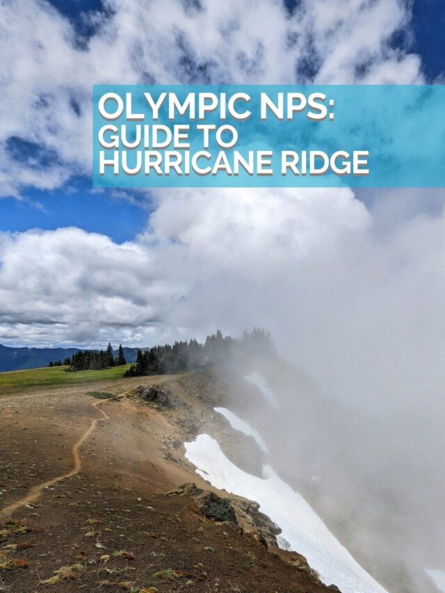Guide to Hurricane Ridge, Olympic National Park