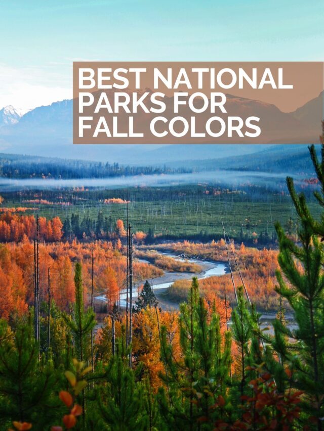 Best National Parks To Visit for Fall Colors