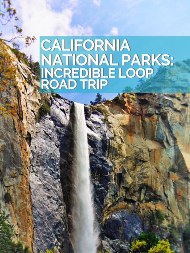 California National Parks Road Trip