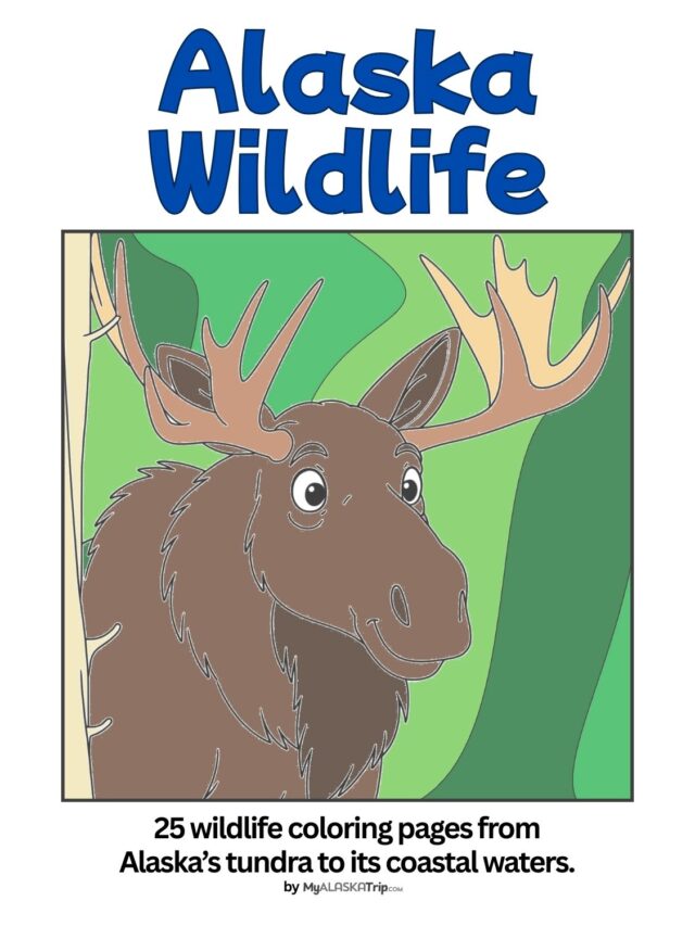 Alaska Wildlife Coloring Book