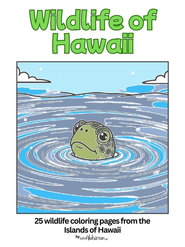 Hawaii Wildlife Coloring Book (2)
