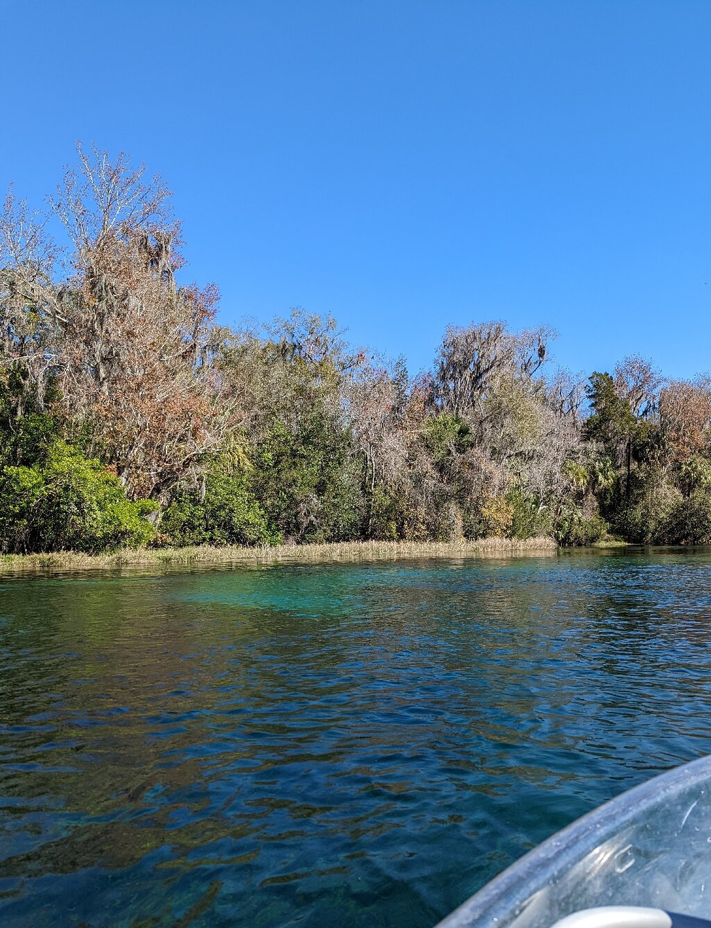 kayaking tours in south florida