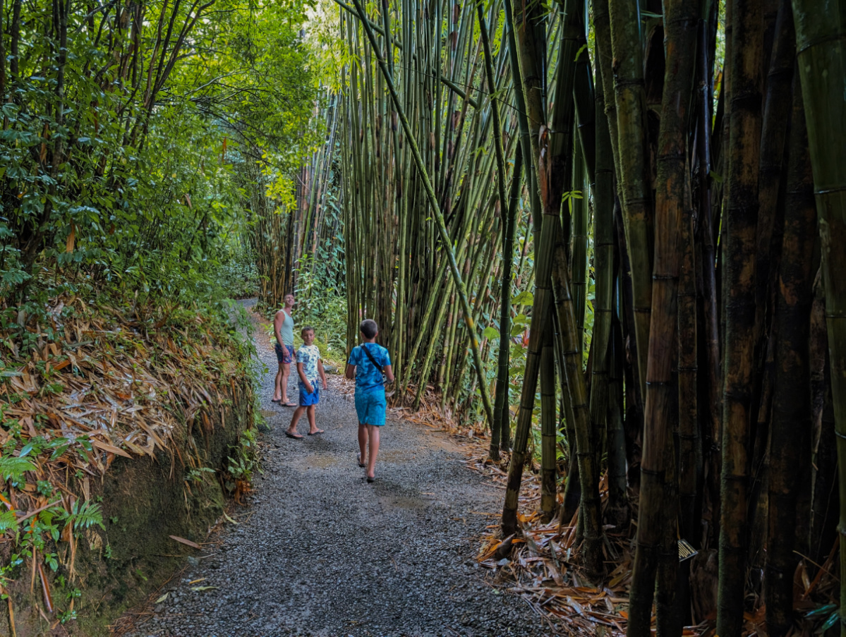 Taylor Family in Bamboo Forest Road to Hana Maui Hawaii 1